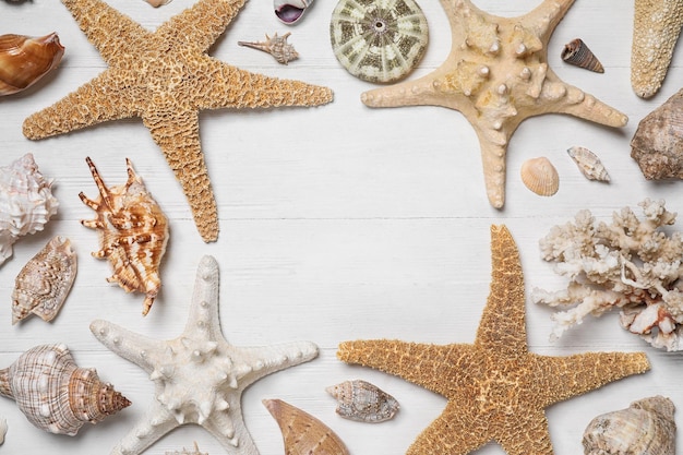 Frame of sea shells and starfishes on white wooden background flat lay Space for text