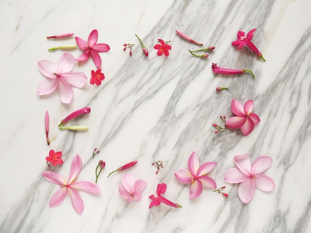 Frame of spa beautiful tropical flowers isolated on a white marble background