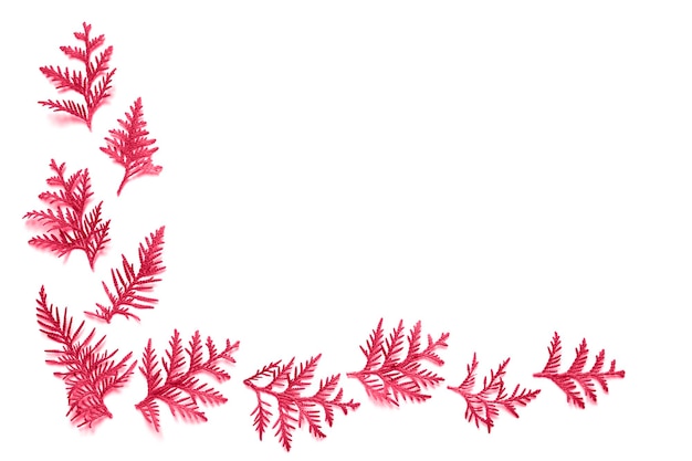 Frame of twigs of thuja isolated on a pink background christmas card concept mockup and space for text toned in viva magenta trend color of the year 2023