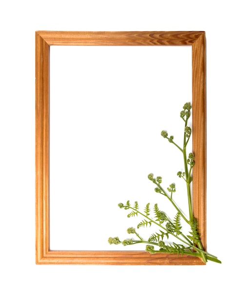 A frame with flowers for design with a place for text and advertising on a white surface