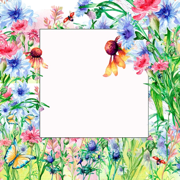 Frame with meadow colorful flowers watercolor illustration isolated