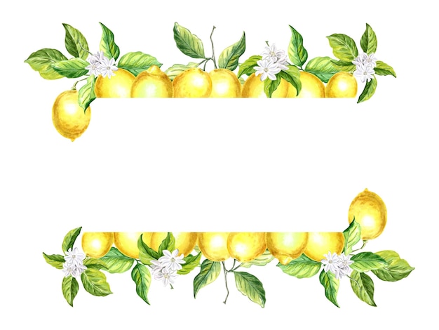 Photo frame of yellow lemons with green leaves watercolor hand drawn illustration isolated