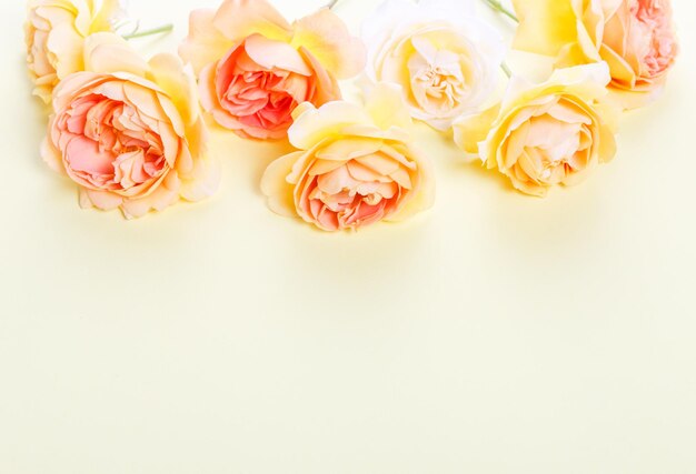 Framework from orange roses on white background