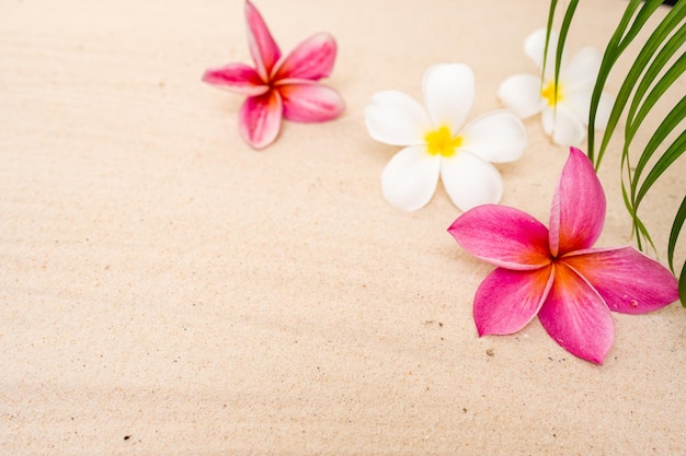 Frangipani Flowers And Palm Leaf On Sand For Summer Background