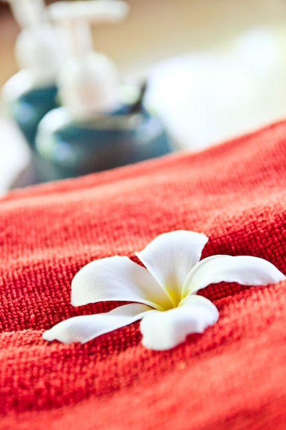 Frangipani on a red cloth.