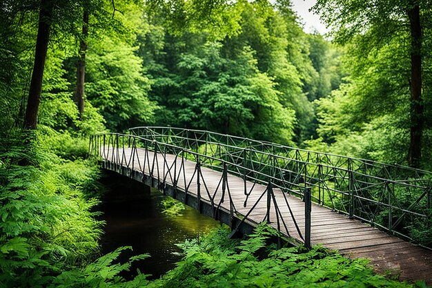 Photo free photo beautiful view of greenery and a bridge in the forest perfect for background