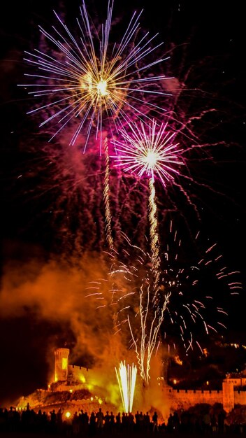 Free photo vertical shot of beautiful colorful fireworks under the dark night sky