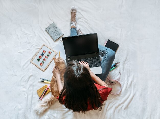 Freelancer young woman working in home office with laptop computer and cat remote online working