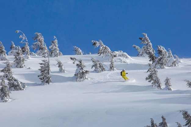 Freeride snowboarding offers an adrenalinefueled ride down untouched powder slopes