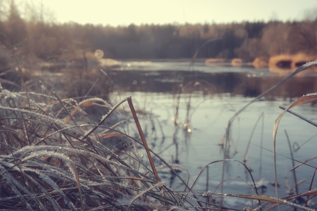 freezing river november december, seasonal landscape in nature winter