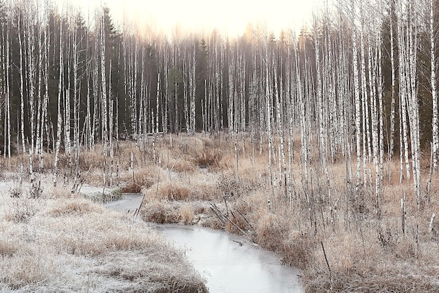 freezing river november december, seasonal landscape in nature winter