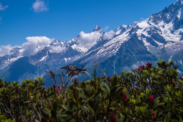 French alps landscape