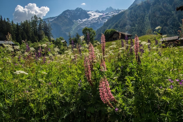 French alps landscape