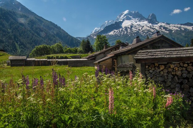 French alps landscape