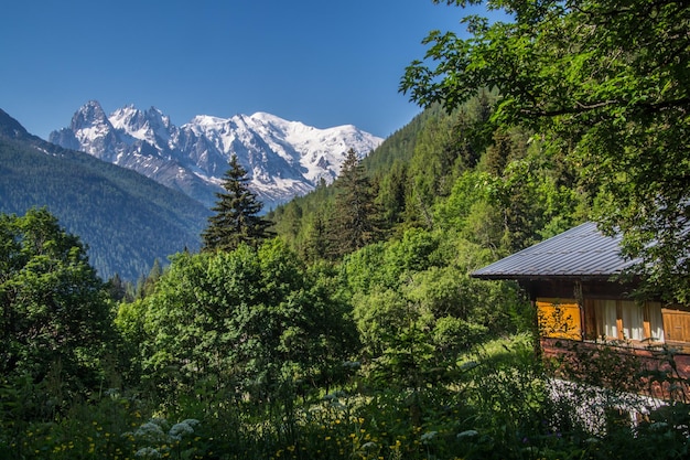 French alps landscape