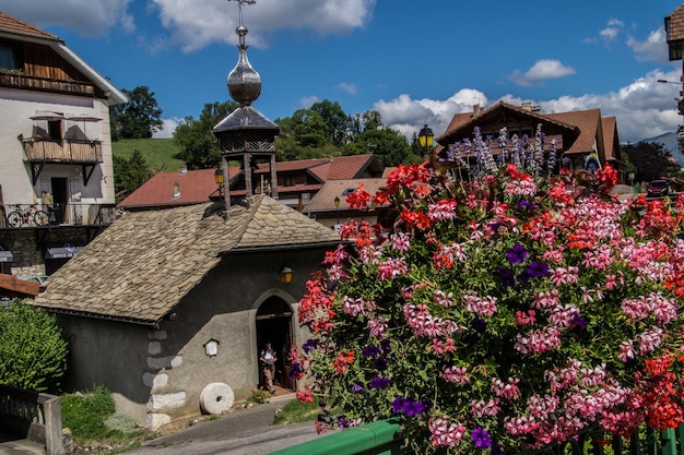 French alps landscape