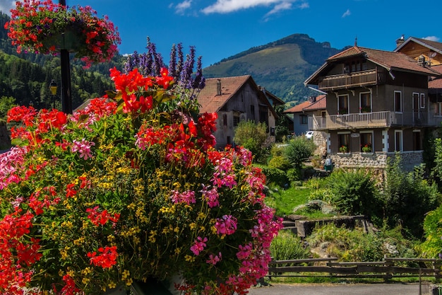 French alps landscape