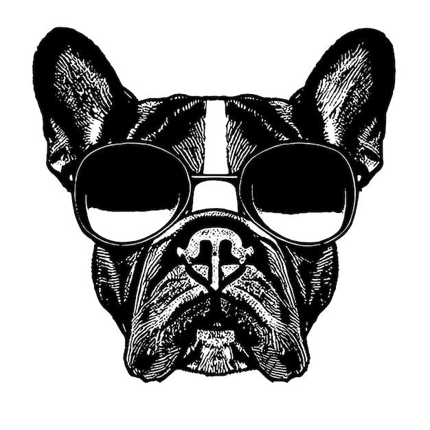 Photo french bulldog dog wear a pair of sunglasses line drawing black and white cartoon