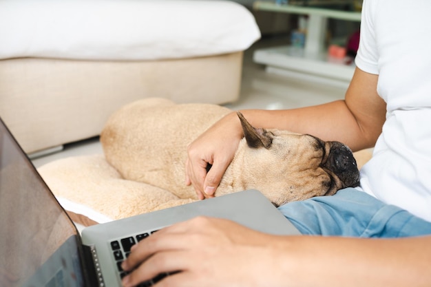 French bulldog sleeping on pillow next to a man that working online