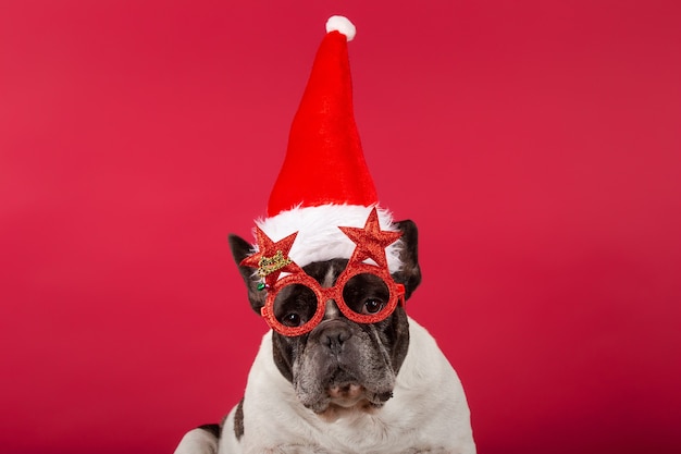 French bulldog with hat and funny Christmas glasses