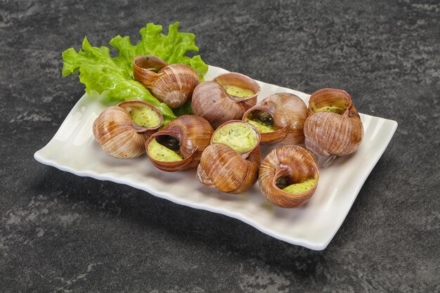 French cuisine Escargot with sauce