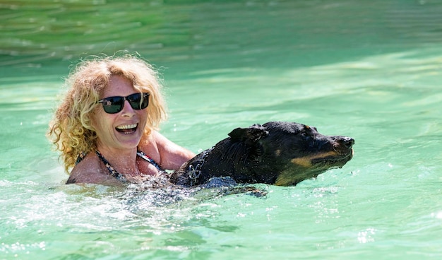 French shepherd and swimming pool