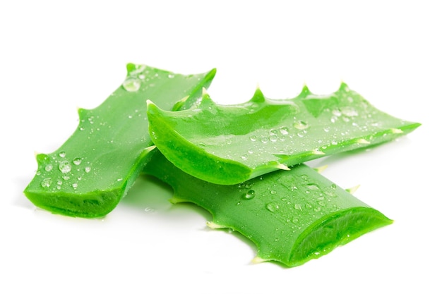 Fresh aloe vera leaves with water drops isolated on white background in closeup