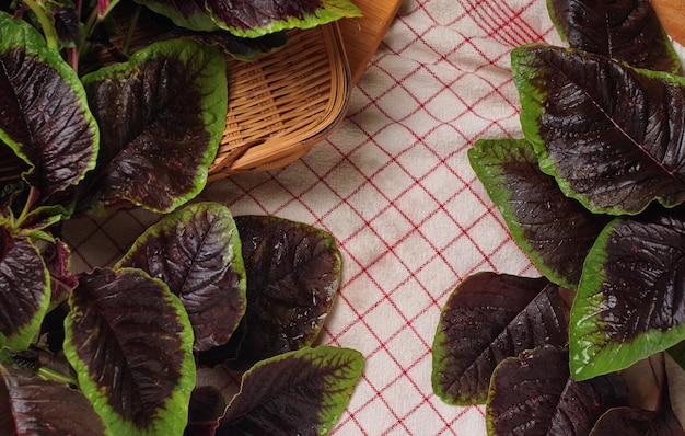 Fresh amaranth leaves while preparation for cook