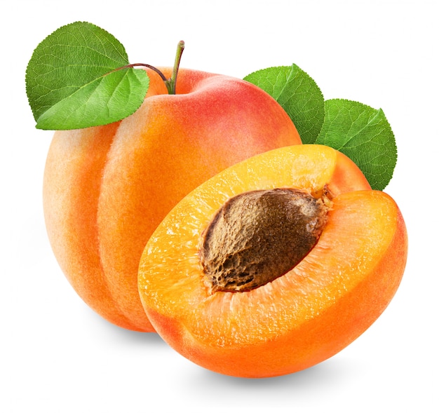 Fresh apricot