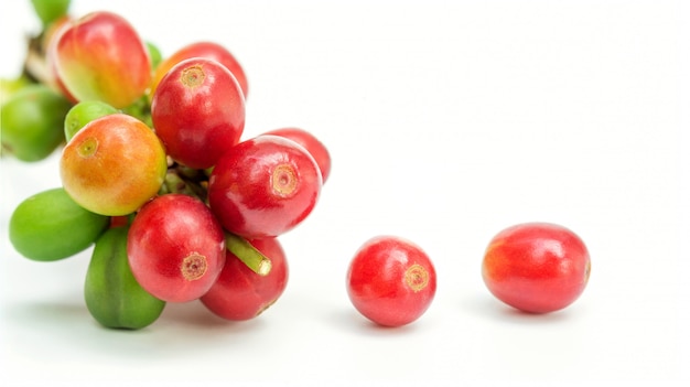 Fresh arabica coffee beans on a white background.