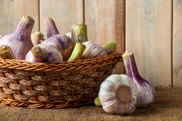 Fresh aromatic garlic on a rustic wooden background. Ingredient for cooking.