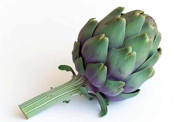 Fresh artichoke isolated on white background Healthy food concept