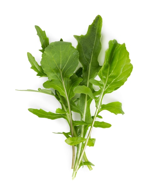 Fresh arugula leaves isolated on white background