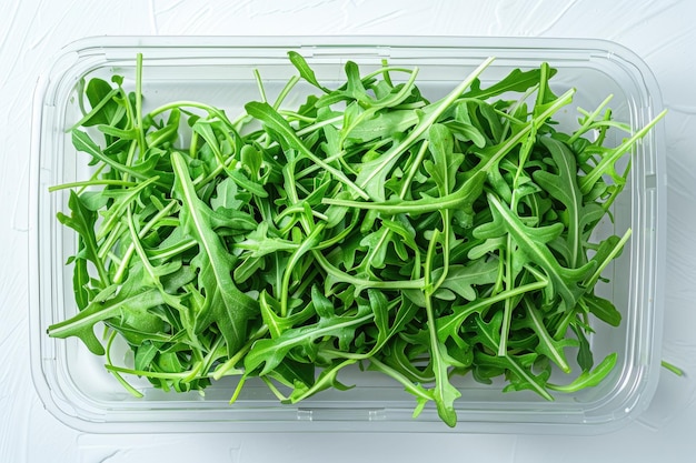 Fresh arugula leaves in a plastic container