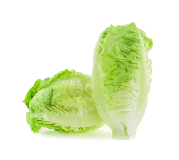 Fresh baby cos lettuce on white background