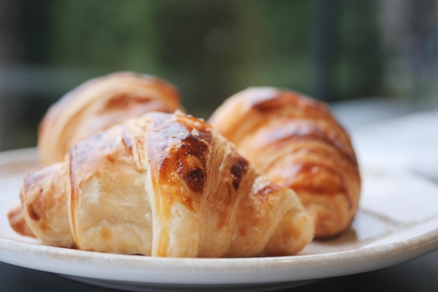 Fresh baked croissant on plate with copy space