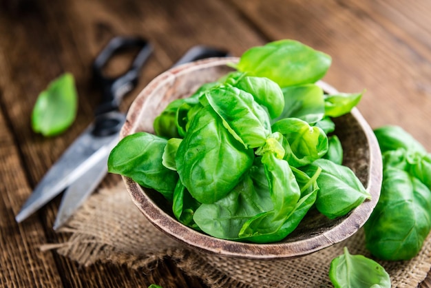 Fresh Basil closeup shot