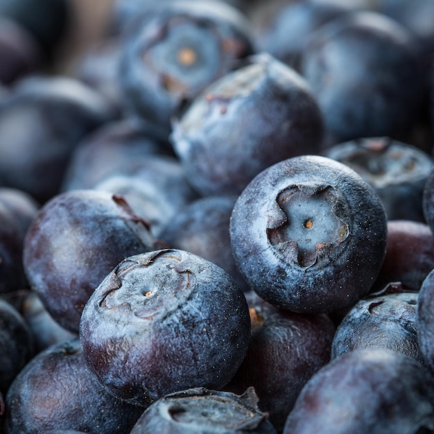 Fresh Berries - Blueberries background closeup