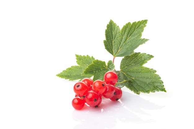 Fresh berries of red currant with green leaves isolated 