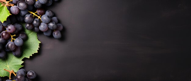 Fresh black grapes fruit on pastel background