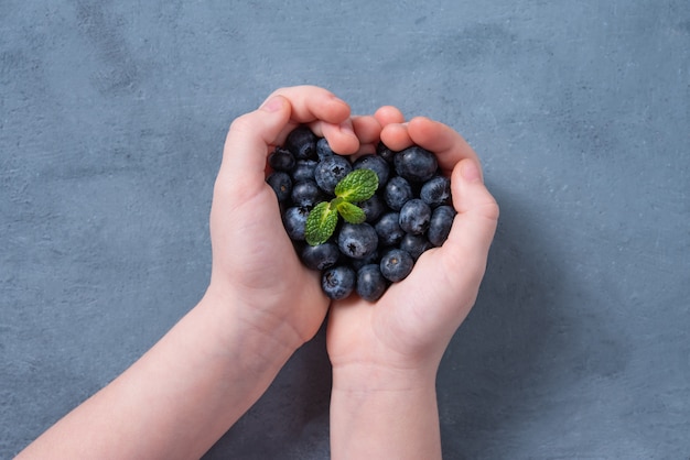 Fresh blueberries on a kid's hands