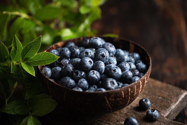 Fresh blueberries with leaves