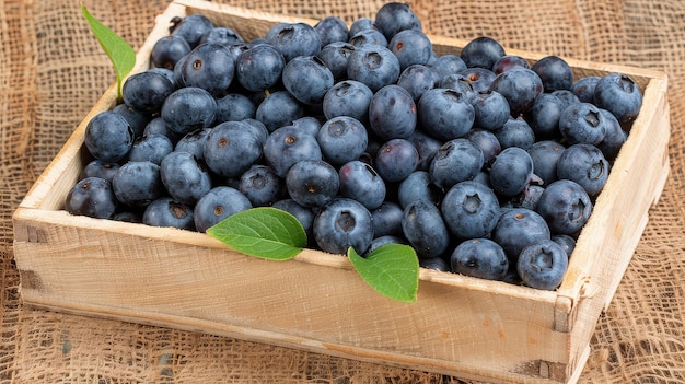 Fresh Blueberries in Wooden Crate