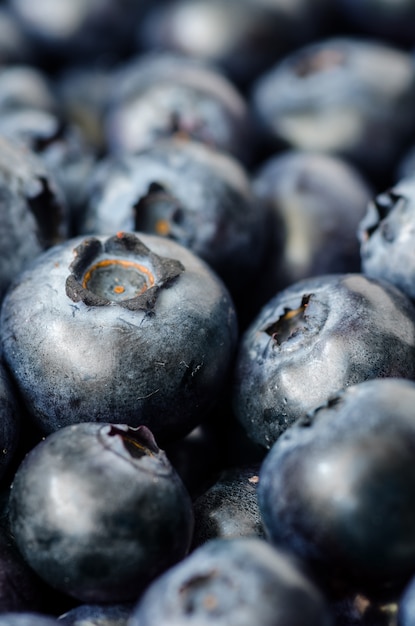 Fresh Blueberries