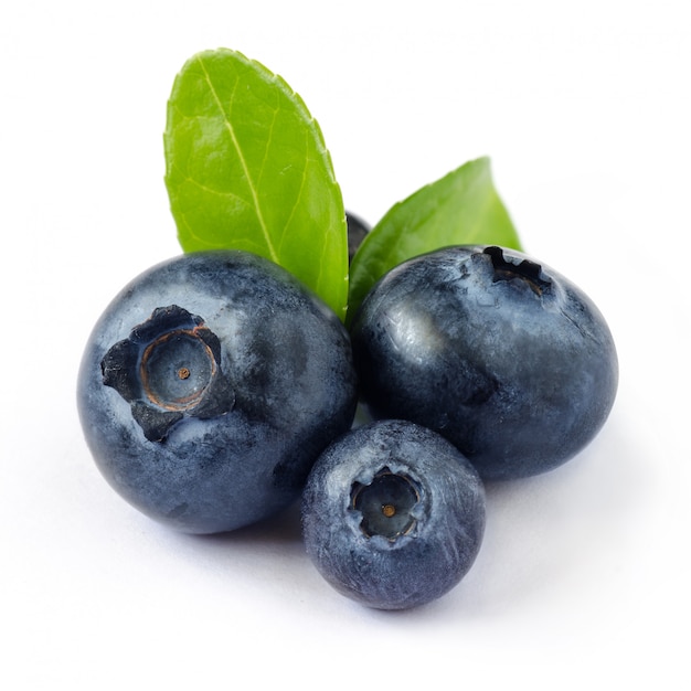 Fresh Blueberries