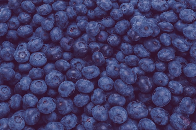 Photo fresh blueberry background. texture blueberry berries close up.