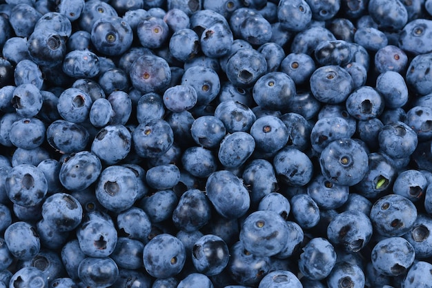 Fresh blueberry background. Texture blueberry berries close up.