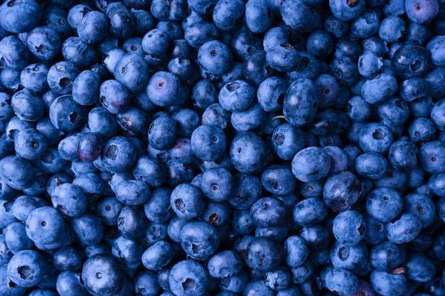 Fresh blueberry background Texture blueberry berries close up