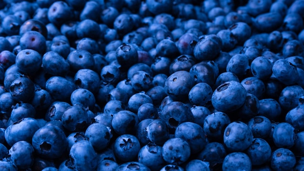 Fresh blueberry background Texture blueberry berries close up