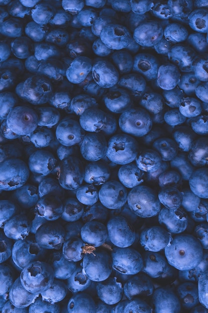 Photo fresh blueberry background texture blueberry berries close up